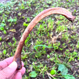 withdoglove国産スモークボーン牛ボーンと豚ボーンの2種類【ストレス解消、歯石歯垢口臭ケア、完全無添加、BSE検査済み国産牛、牛骨、豚骨、煮出し+乾燥+スモーク】