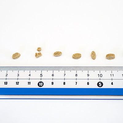 Yum Yum Yum!（ヤムヤムヤム） 健康マネジメント腎臓【国産原料に