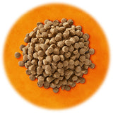 Yum Yum Yum!(ヤムヤムヤム) シニア&ライト 馬肉 ドライタイプ【国産原料にこだわった安心の無添加ドッグフード】