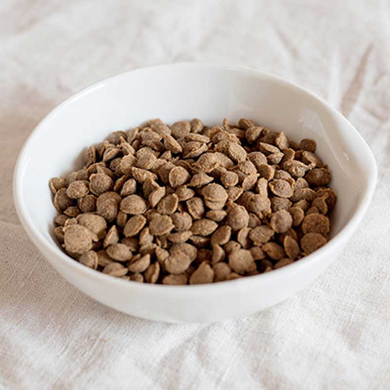 1999年創業日本初愛犬のエコショップecodogナチュラルナース【無添加