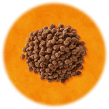 Yum Yum Yum!(ヤムヤムヤム) シニア&ライト 馬肉 やわらかドライタイプ【国産原料にこだわった安心の無添加ドッグフード】