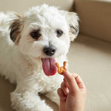 ラウト ゼオライトビスケットチーズ【ゼオライトでデトックス効果に期待。チーズで嗜好性抜群。完全無添加】