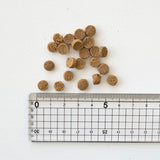 Yum Yum Yum!(ヤムヤムヤム) マグロドライタイプ【国産原料にこだわった安心の無添加ドッグフード】