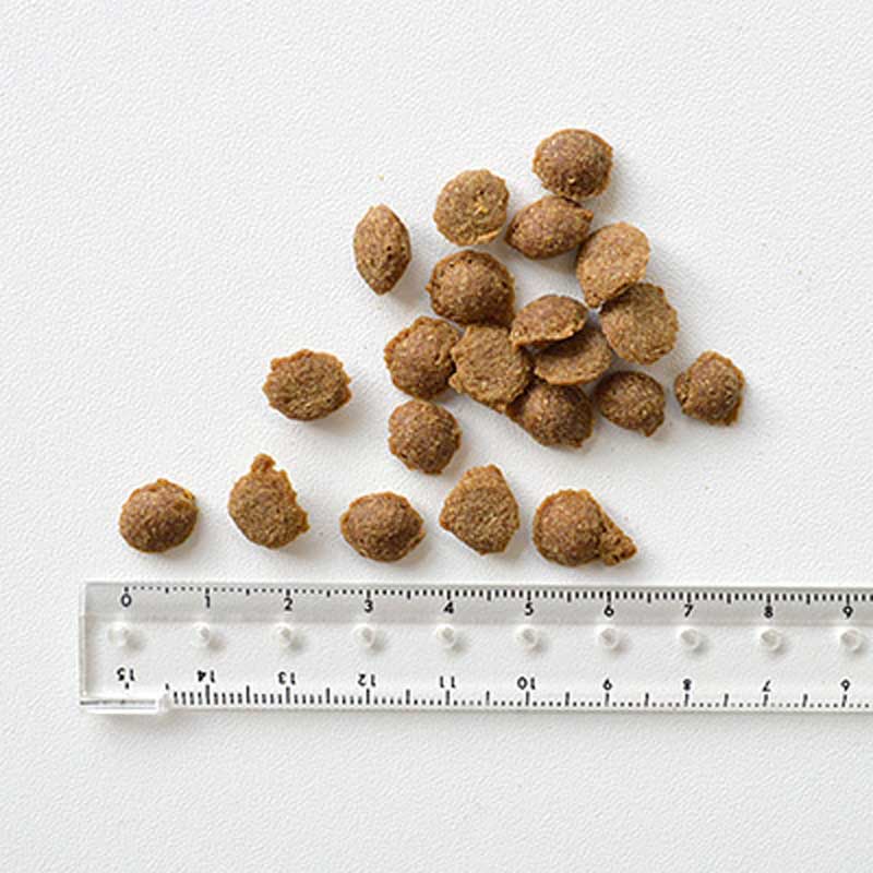 1999年創業日本初愛犬のエコショップecodogナチュラルナース【無添加