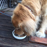 クプレラ CLASSICラム&ミレット・スモール・ドッグフード(成犬用)【シニア肥満・活性酵素・プロバイオティクス・有用菌】