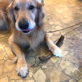 withdoglove国産スモークボーン牛ボーンと豚ボーンの2種類【ストレス解消、歯石歯垢口臭ケア、完全無添加、BSE検査済み国産牛、牛骨、豚骨、煮出し+乾燥+スモーク】