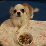 withdogloveタモギタケパウダー【初回限定リスクゼロあり。無農薬栽培の天然サプリメント。β-グルカン/キシロース/エルゴチオエニン/セラミド含有。免疫力向上】