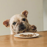 Yum Yum Yum!(ヤムヤムヤム) チキン ドライタイプ【国産原料にこだわった安心の無添加ドッグフード】