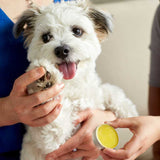 愛犬の肉球ケアに!オーガニックケアクリーム初回限定リスクゼロあり:【安全安心な肉球クリーム、人用化粧品工場で製造し化粧品登録されたオーガニック化粧品クリーム、愛犬も人も使用可能】