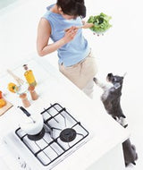 初回限定リスクゼロあり:発酵ベジパウダーv2【発酵植物酵素で腸内環境の改善】