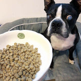 Yum Yum Yum!(ヤムヤムヤム) マグロドライタイプ【国産原料にこだわった安心の無添加ドッグフード】