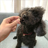 長期欠品:初回限定リスクゼロあり:withdogloveカンガルーレバー低温乾燥ジャーキー【酵素や栄養が残る低温長時間乾燥。オーストラリア産原料。カンガルー肝臓の内臓ジャーキー】