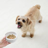 Natural nurse [Achievements and experience of regular retailers since 1998] [Reliable additive-free dry food]