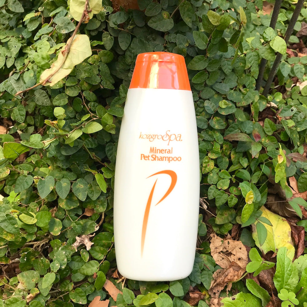 コズグロスパ ミネラルペットシャンプー【人用洗剤メーカーの作った