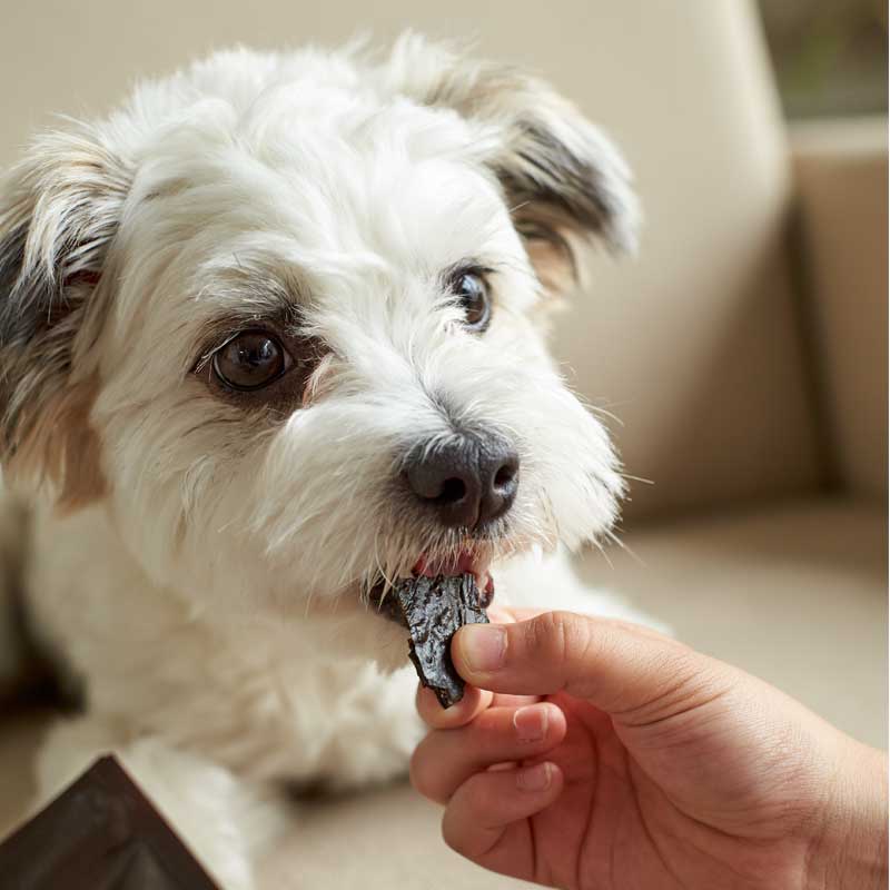 初回限定リスクゼロありwithdogloveカンガルー低温乾燥ジャーキー【酵素や栄養が残る低温長時間乾燥。オーストラリア産原料。カンガルー正肉スライスジャーキー】